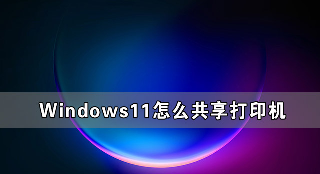 2024最新Win11系统下载合集