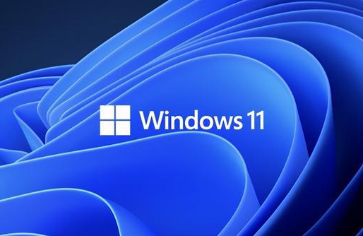 最新win11系统下载_win11系统下载专业版_windows11纯净版下载-系统家园