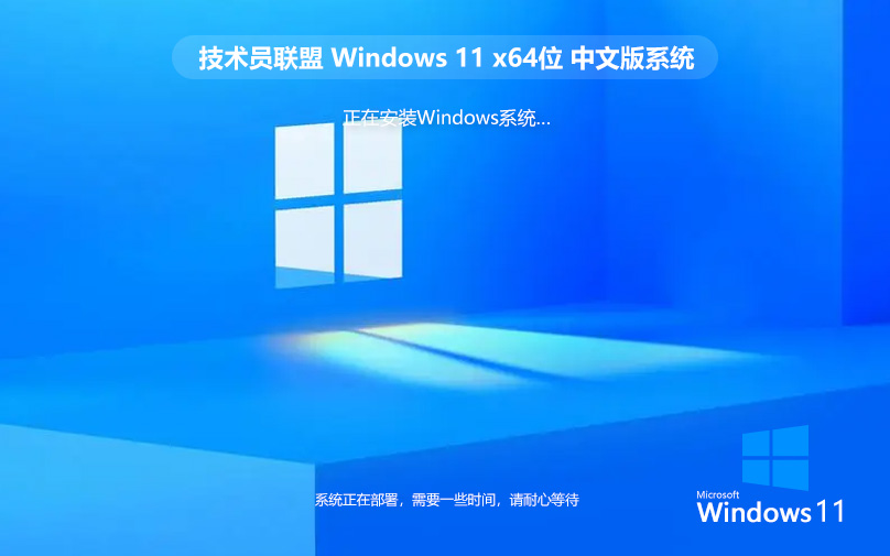 Windows11专业版下载Windows11 64位专业版(永久激活系统) v2024